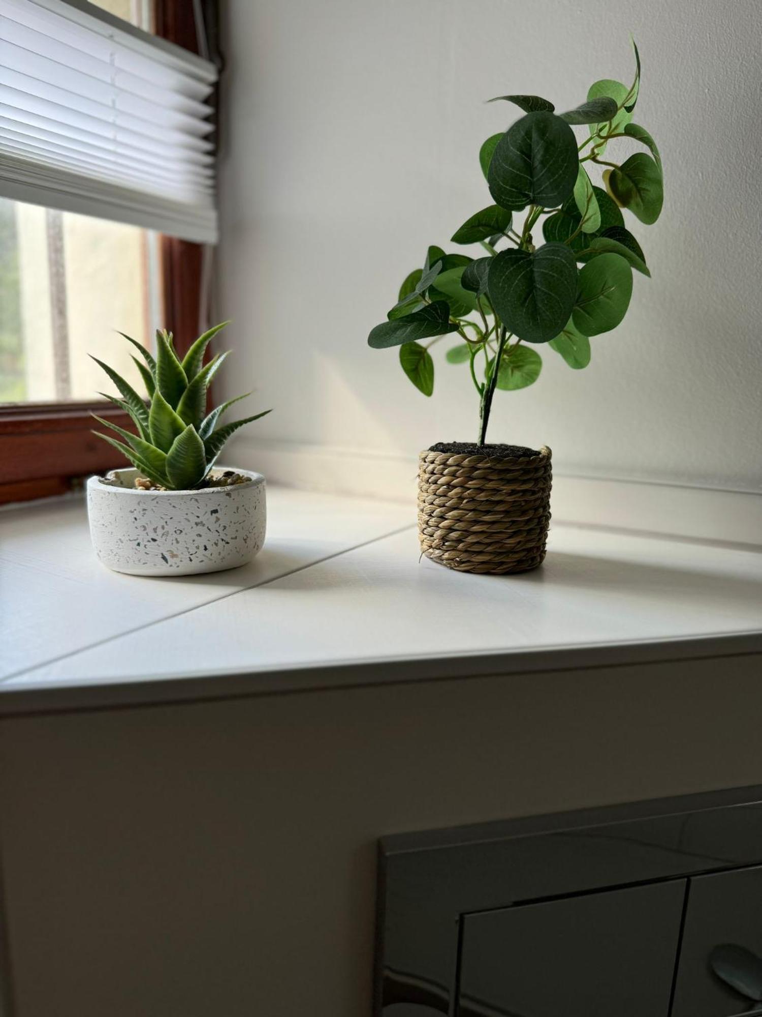 Ferienwohnung Neue Quickbox Thale Zewnętrze zdjęcie